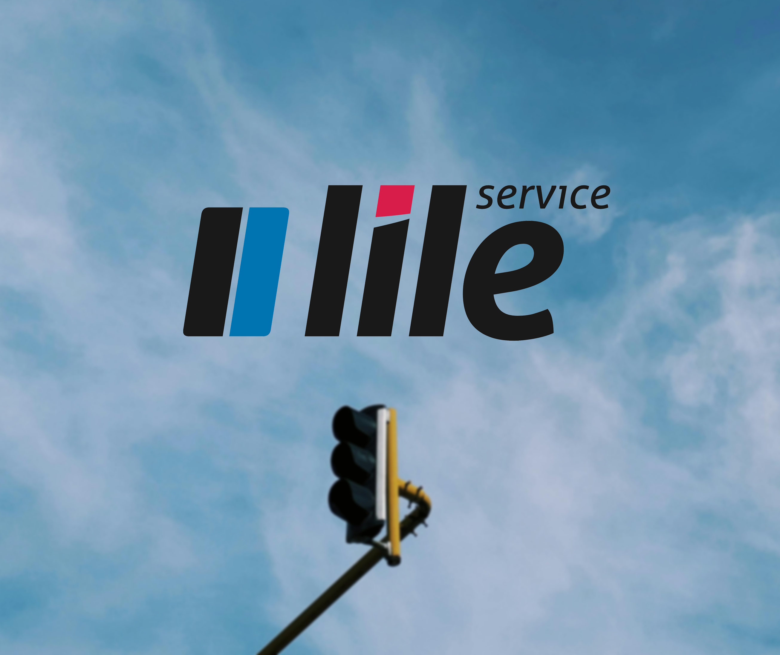 Lile Service - Activitate Industrială